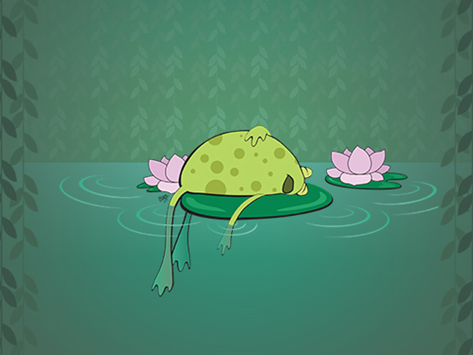 Frog on a Lilypad